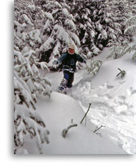 Backcountry skiing in the 1980's